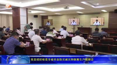 我县组织收看全省农业防灾减灾和秋粮生产视频会