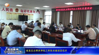 省直定点帮扶单位工作队长座谈会召开