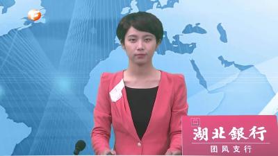 市人大常委会来团开展代表议案建议办理情况视察活动