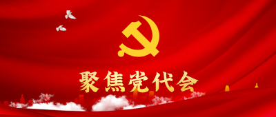 聚焦党代会 | 回首五年路 阔步新征程！看团风事业大进步