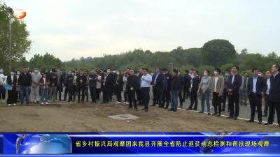 省乡村振兴局观摩团来我县开展全省防止返贫动态检测和帮扶现场观摩