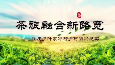 乡村振兴进行时 | 杜皮乡叶家冲村：茶旅融合新路宽