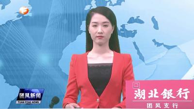 贾庙乡：大力发展油茶产业 激发乡村振兴新动能