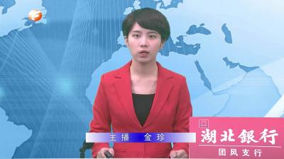 胡爱民来团调研时强调：认真学习贯彻六中全会精神 围绕“好正实优”大力加强清廉黄冈建设