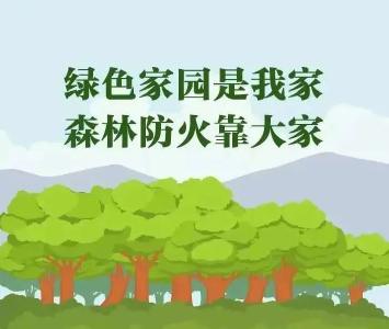 @黄冈人：森林防火非儿戏，这些要点须牢记