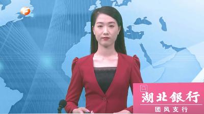 丁永忠参加县六届人大一次会议方高坪镇代表团分组讨论