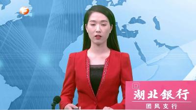 我县组织收看全市推进第二轮中央生态环境保护督察反馈意见整改工作动员视频会