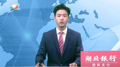 张家胜 李军杰调研团风县国土空间规划和工业园区空间规划