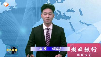 团风代表团集中审议《市政府工作报告》