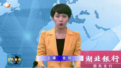 出席市六届人大一次会议团风代表团举行第一次全体会议