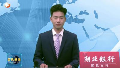 团风代表团认真审议“三个报告”