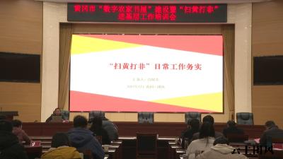 推广团风经验 全市“扫黄打非”进基层暨数字农家书屋建设工作现场推进会在我县召开