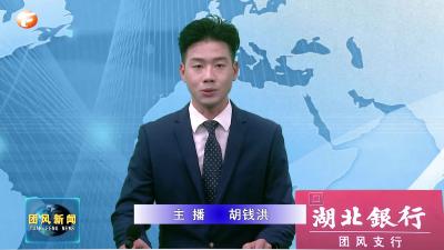 团风代表团继续审议《市政府工作报告》