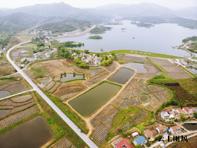 媒体关注 | 湖北团风：三级联动打造美丽乡村