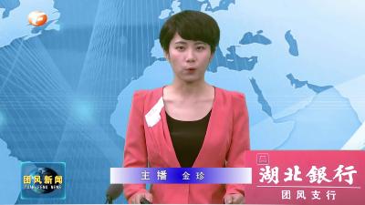 总路咀镇：坚持产业同链 加速融入大武汉