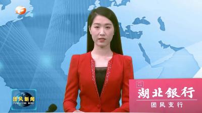 我县各级各部门畅谈贯彻落实全县深入推进区域发展布局