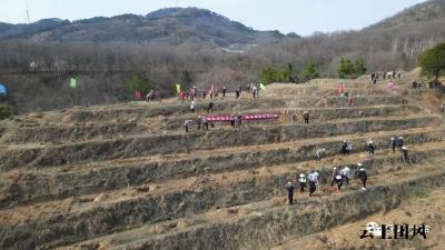 春回大地植树忙，干群合力添新绿