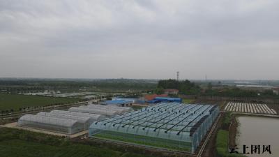 团风：科技强农 “育秧工厂”让种粮不再“看天吃饭”