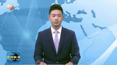 何永红带队赴武汉市阳逻港区部分临港产业关联企业考察对接