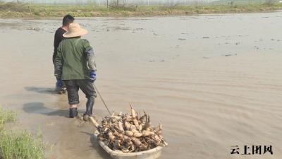 退捕渔民胡建喜：“洗脚上岸”走上致富路