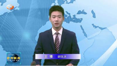 何永红调研巴河流域乡村振兴示范片区建设工作
