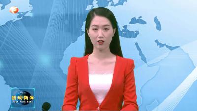 团风：种下“苦药材” 收获“甜日子”