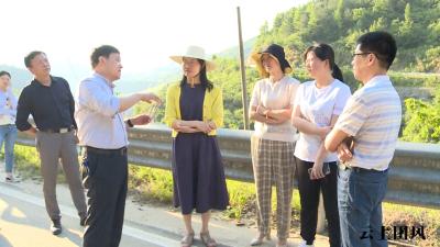 县领导实地踏勘加快推动大崎山乡村振兴片区项目建设