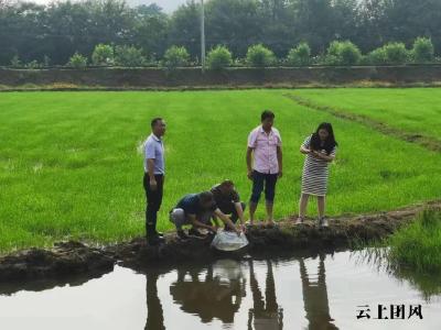 团风县农业农村局：送鱼苗 送技术 暖民心