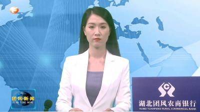 杜皮乡东岳村开展党旗下的垸组恳谈活动