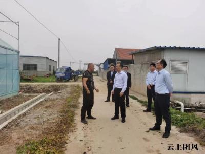 团风农商银行为乡村振兴注入金融“活水”