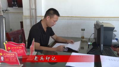 老兵印记 | 杜江：退役不褪色 投身乡村振兴新“战场”