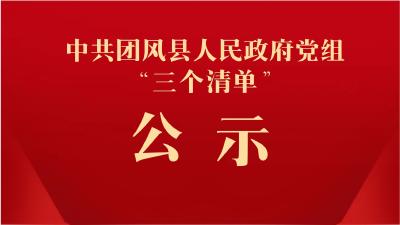 关于党员干部下基层察民情解民忧暖民心实践活动中共团风县人民政府党组“三个清单”的公       示