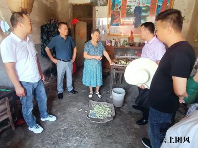 下基层 察民情 解民忧 暖民心 | 我县各级各部门开展主题实践活动（十六）