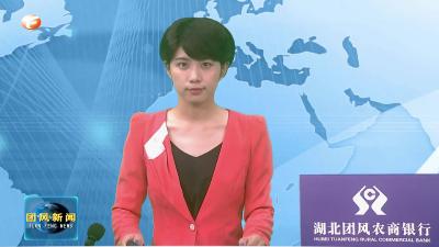 我县召开庆祝中国共产党成立101周年座谈会 共庆党的生日 畅谈团风发展未来