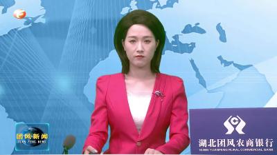 市营商办来我县调研“首席服务官”制度建设工作