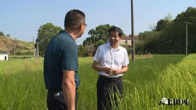 何永红督导抗旱工作时强调：科学调度 综合施策 把旱情影响降到最低