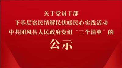 关于党员干部下基层察民情解民忧暖民心实践活动中共团风县人民政府党组“三个清单”的公示