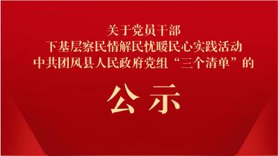 关于党员干部下基层察民情解民忧暖民心实践活动中共团风县人民政府党组“三个清单”的公示