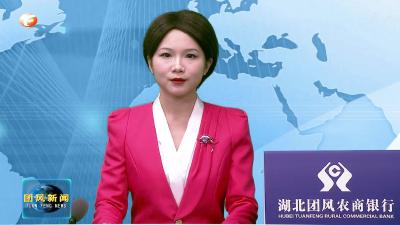 喜迎二十大 团风向未来 贾庙乡：打造茶旅经济生态链 走出景美民富绿色振兴路