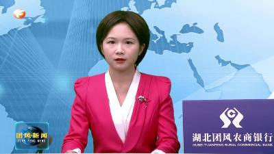 全市深化“放管服”改革持续优化营商环境工作电视电话会议召开