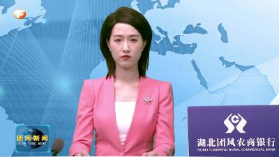 我县召开“首席服务官”工作推进会