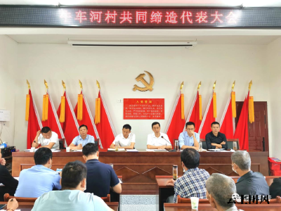 牛车河村召开“美好环境与幸福生活共同缔造”村民代表大会