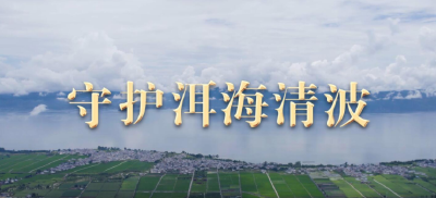 跟着总书记看中国｜守护洱海清波