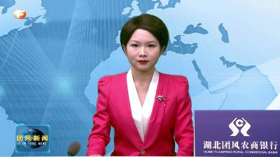 上巴河镇：五年成就鼓舞人心 开拓奋进书写新篇