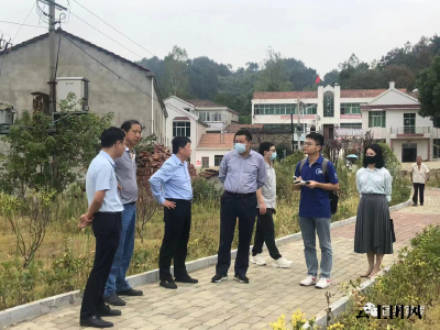 武汉大学专家团队来团风开展生态保护和港区发展专题调研活动