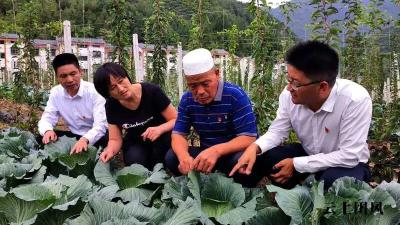 了不起！郧西这个偏远小乡，20年走出三位全国党代表！