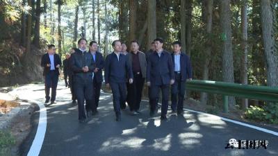 刘忠诚来我县检查督导疫情防控、安全生产、森林防火、产业发展及巡林工作