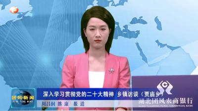 深入学习贯彻党的二十大精神 乡镇访谈（贾庙乡）