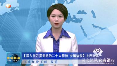 【深入学习贯彻党的二十大精神 乡镇访谈】上巴河镇
