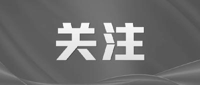 这波主场“外交热”，蕴含着机遇的方向